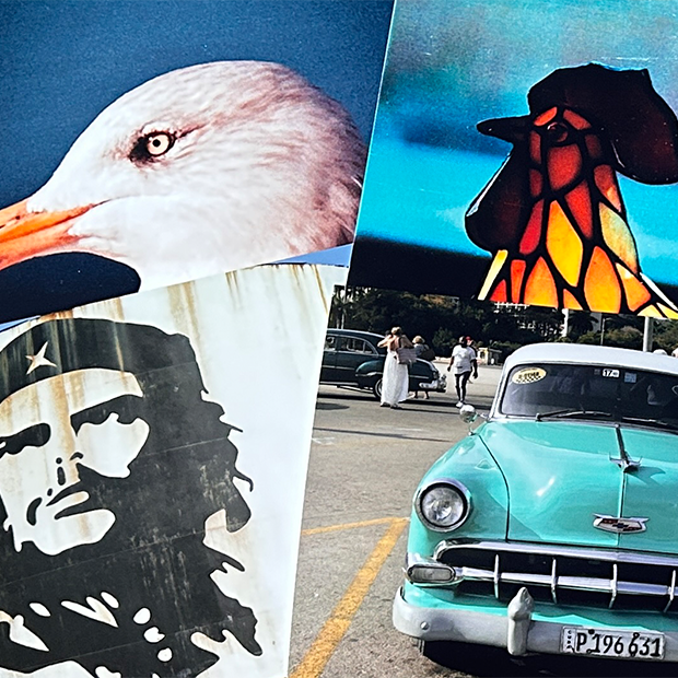 Disposable Photography - Photos from a throwaway world!